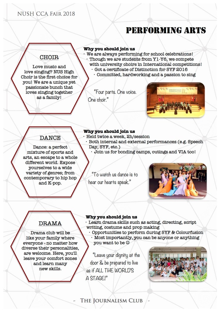 CCA Fair Brochure (8)